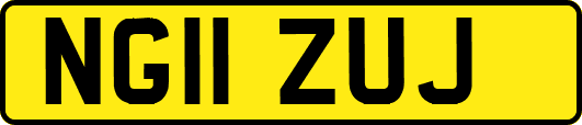 NG11ZUJ