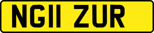 NG11ZUR