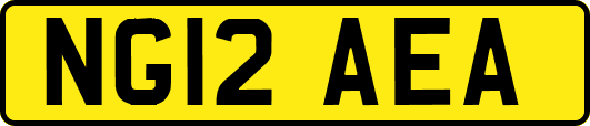 NG12AEA
