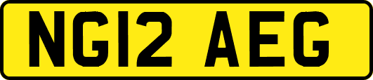 NG12AEG