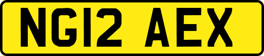 NG12AEX