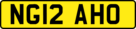 NG12AHO