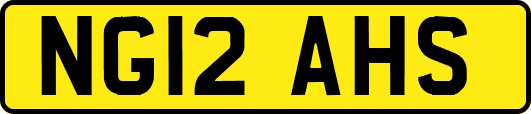 NG12AHS
