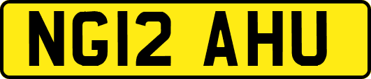 NG12AHU