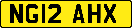 NG12AHX