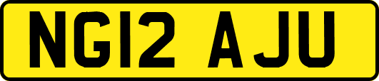 NG12AJU