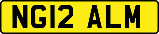 NG12ALM