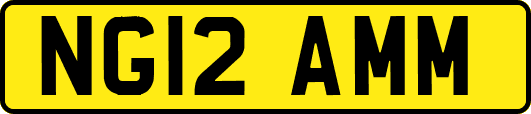 NG12AMM
