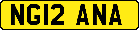 NG12ANA