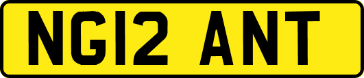 NG12ANT