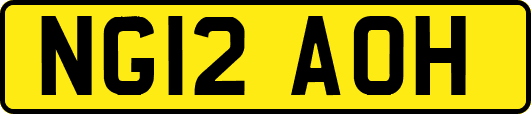 NG12AOH