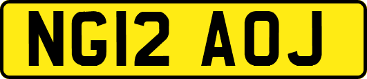 NG12AOJ
