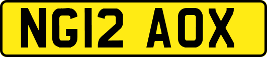 NG12AOX