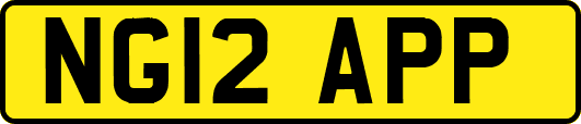 NG12APP