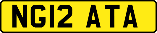 NG12ATA
