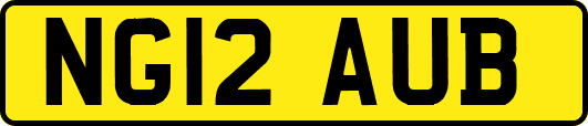 NG12AUB