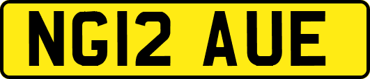 NG12AUE