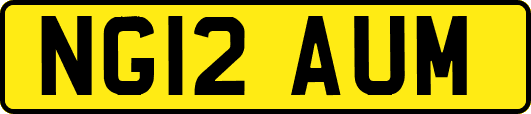 NG12AUM