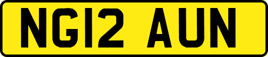 NG12AUN