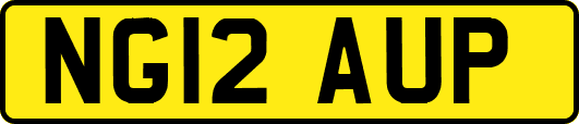 NG12AUP