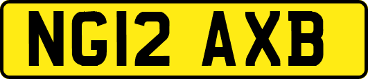 NG12AXB