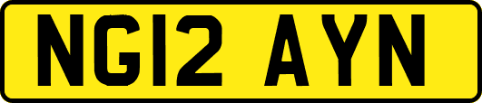NG12AYN