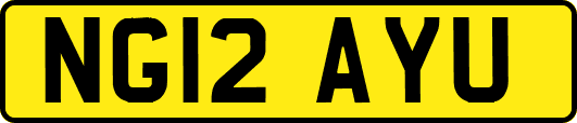 NG12AYU