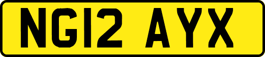 NG12AYX