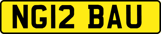 NG12BAU