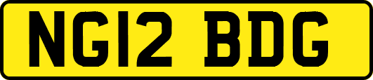 NG12BDG