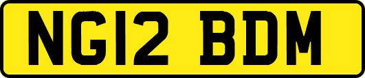 NG12BDM
