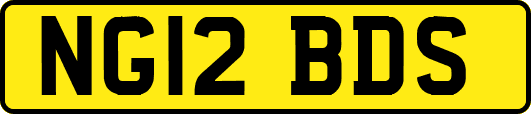 NG12BDS