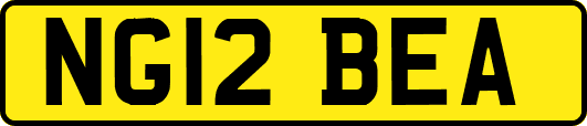 NG12BEA