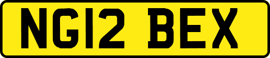 NG12BEX
