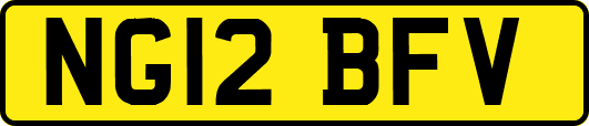 NG12BFV