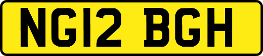 NG12BGH