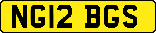 NG12BGS