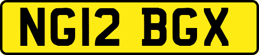 NG12BGX