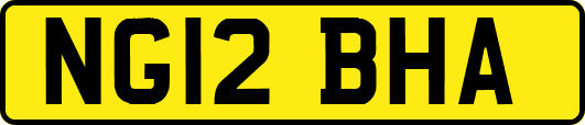 NG12BHA