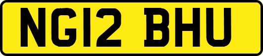 NG12BHU