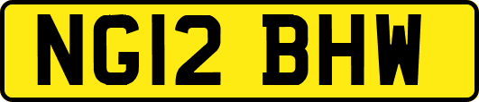 NG12BHW