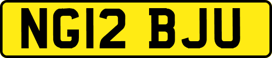 NG12BJU