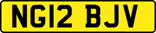 NG12BJV