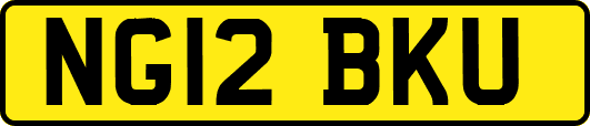 NG12BKU