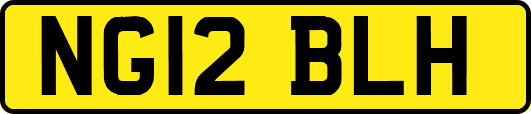 NG12BLH