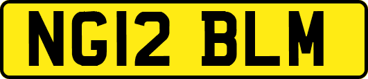 NG12BLM
