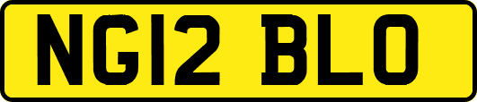 NG12BLO