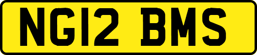 NG12BMS