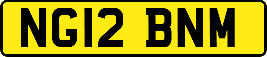 NG12BNM