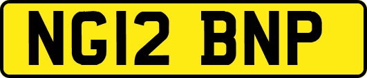 NG12BNP